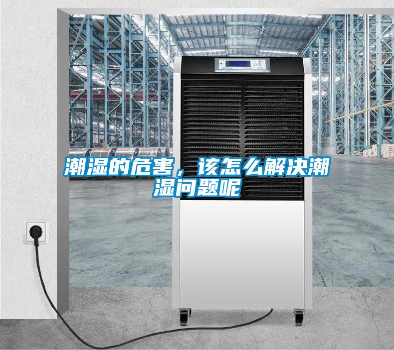 潮濕的危害，該怎么解決潮濕問(wèn)題呢