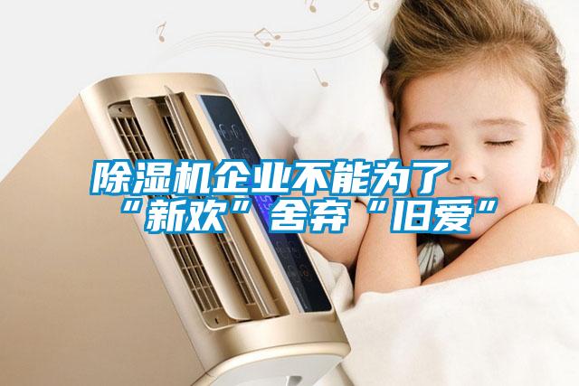 除濕機企業(yè)不能為了“新歡”舍棄“舊愛(ài)”