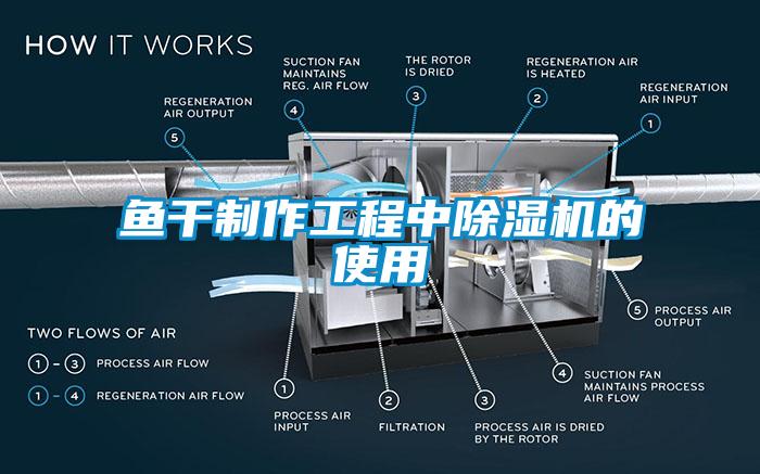 魚(yú)干制作工程中除濕機的使用