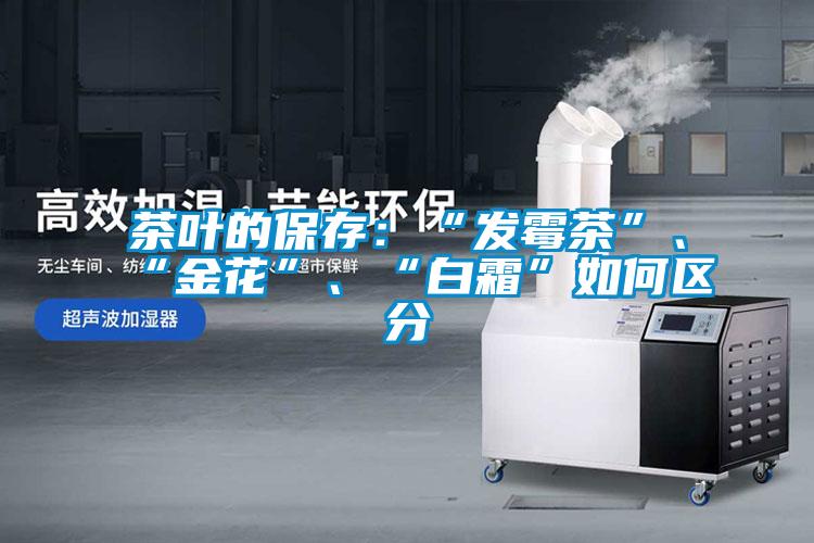 茶葉的保存：“發(fā)霉茶”、“金花”、“白霜”如何區分
