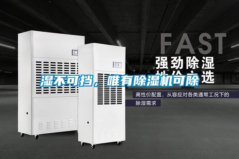 濕不可擋，唯有除濕機可除