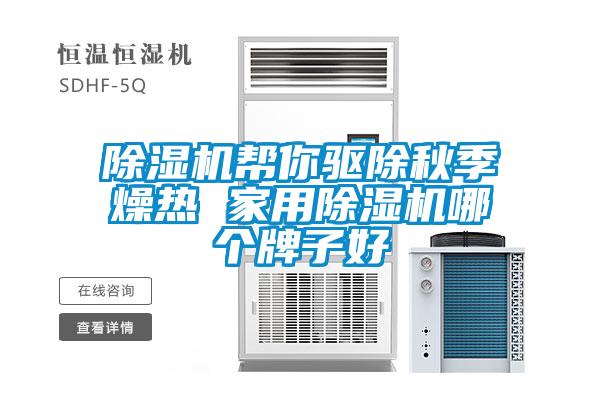 除濕機幫你驅除秋季燥熱 家用除濕機哪個(gè)牌子好