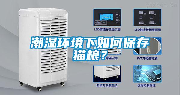 潮濕環(huán)境下如何保存貓糧？