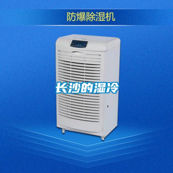 長(cháng)沙的濕冷