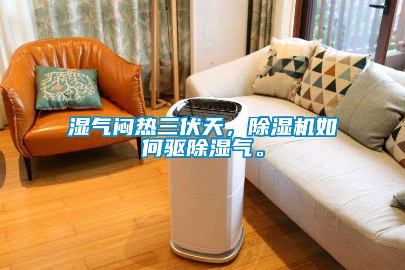 濕氣悶熱三伏天，除濕機如何驅除濕氣。