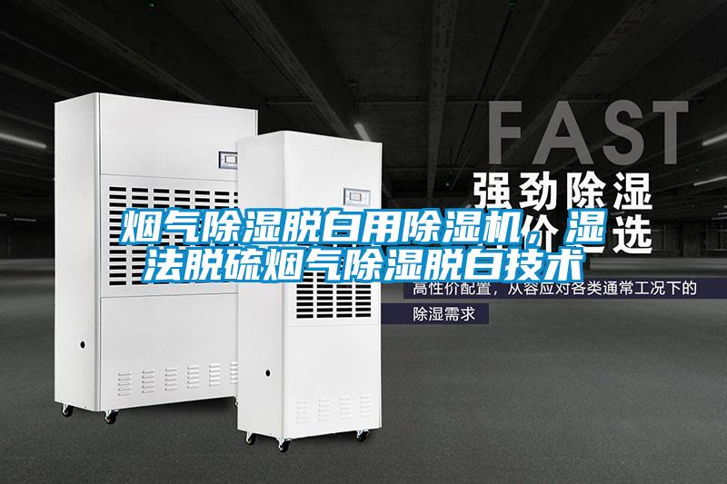 煙氣除濕脫白用除濕機，濕法脫硫煙氣除濕脫白技術(shù)