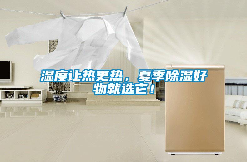 濕度讓熱更熱，夏季除濕好物就選它！