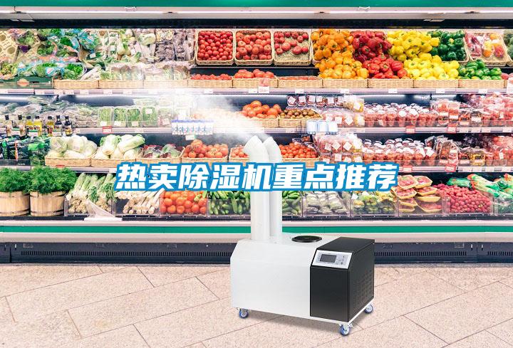 熱賣(mài)除濕機重點(diǎn)推薦