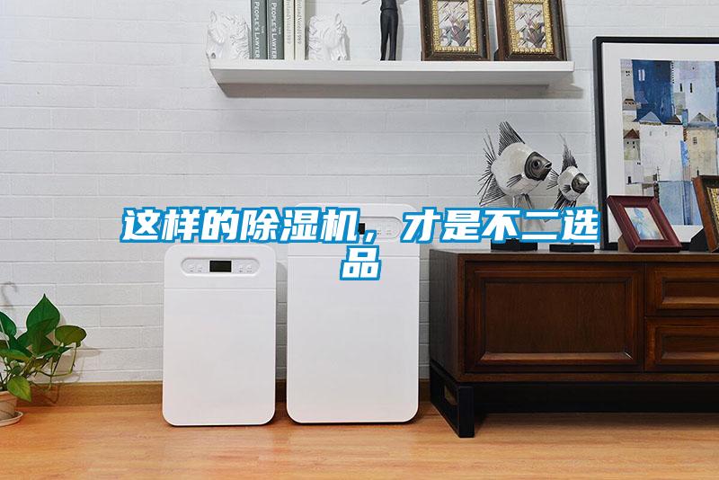 這樣的除濕機，才是不二選品