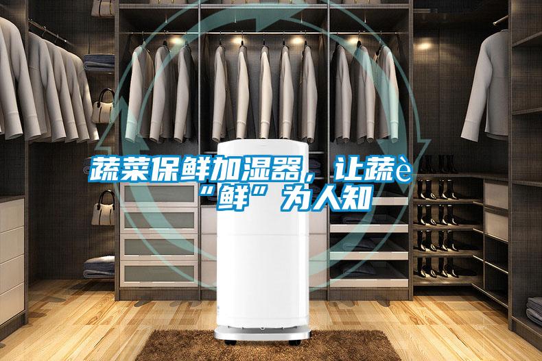 蔬菜保鮮加濕器，讓蔬菜“鮮”為人知