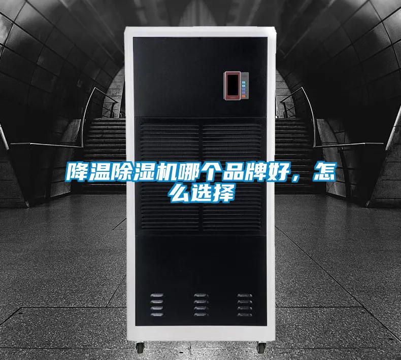 降溫除濕機哪個(gè)品牌好，怎么選擇