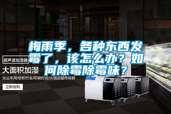 梅雨季，各種東西發(fā)霉了，該怎么辦？如何除霉除霉味？