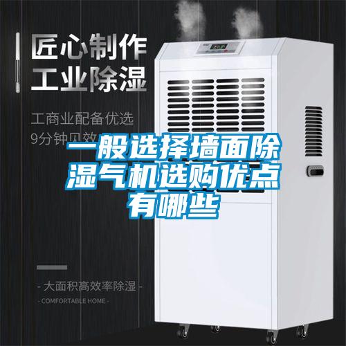 一般選擇墻面除濕氣機選購優(yōu)點(diǎn)有哪些