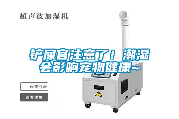 鏟屎官注意了！潮濕會(huì )影響寵物健康~