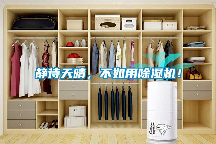 靜待天晴，不如用除濕機！