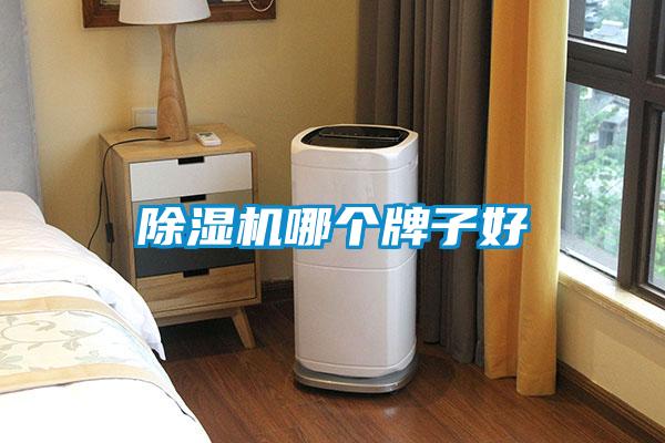 除濕機哪個(gè)牌子好