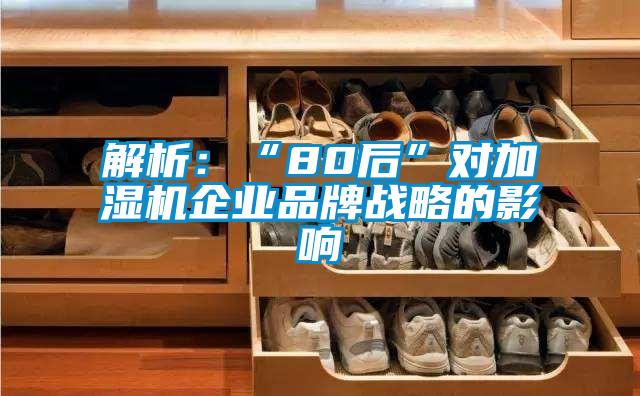 解析：“80后”對加濕機企業(yè)品牌戰略的影響