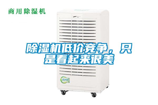 除濕機低價(jià)競爭，只是看起來(lái)很美