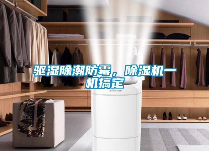 驅濕除潮防霉，除濕機一機搞定