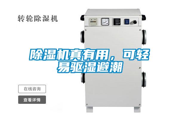 除濕機真有用，可輕易驅濕避潮