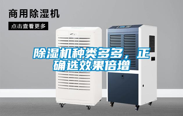 除濕機種類(lèi)多多，正確選效果倍增