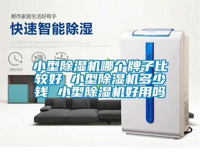 小型除濕機哪個(gè)牌子比較好 小型除濕機多少錢(qián) 小型除濕機好用嗎