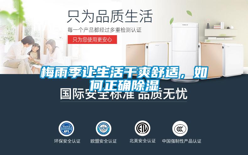 梅雨季讓生活干爽舒適，如何正確除濕
