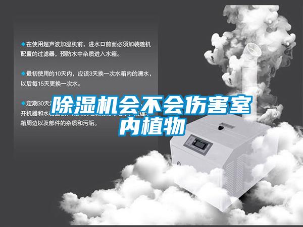 除濕機會(huì )不會(huì )傷害室內植物