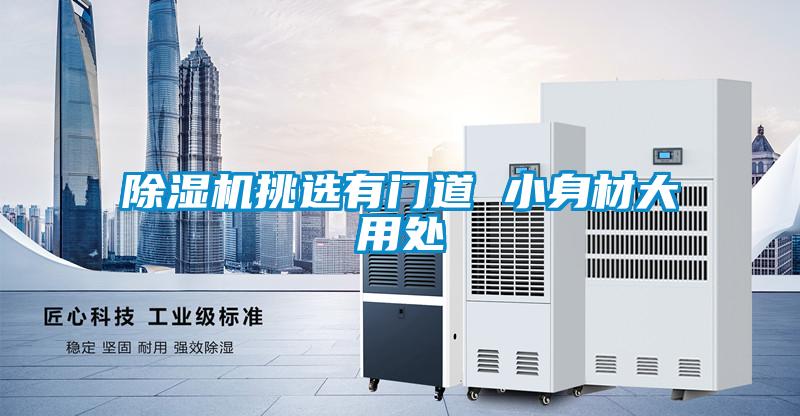 除濕機挑選有門(mén)道 小身材大用處