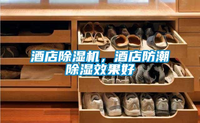 酒店除濕機，酒店防潮除濕效果好