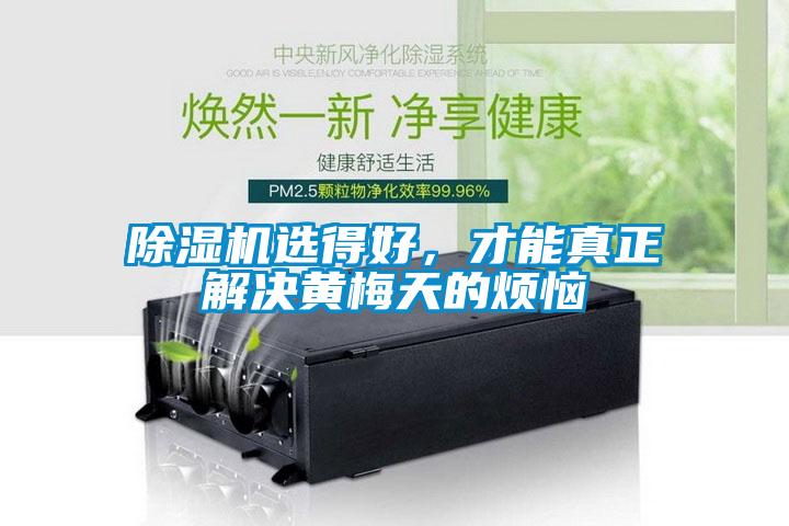除濕機選得好，才能真正解決黃梅天的煩惱