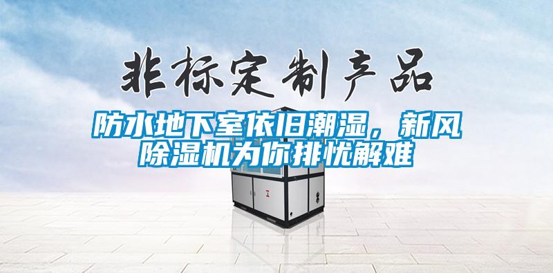 防水地下室依舊潮濕，新風(fēng)除濕機為你排憂(yōu)解難