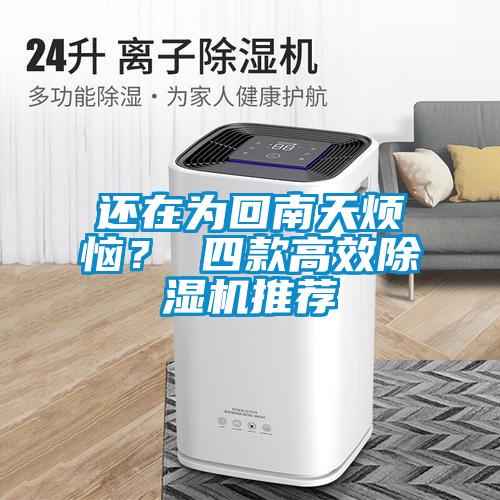 還在為回南天煩惱？ 四款高效除濕機推薦