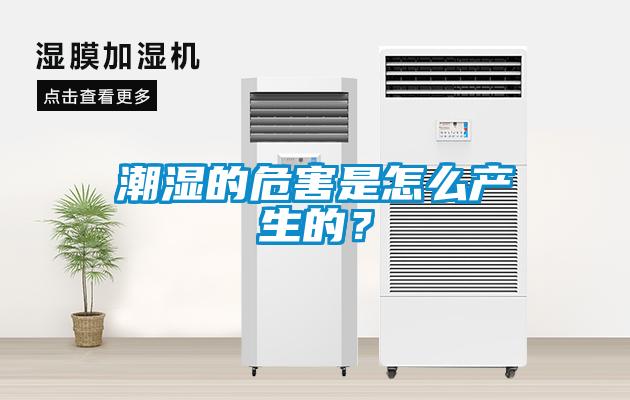 潮濕的危害是怎么產(chǎn)生的？
