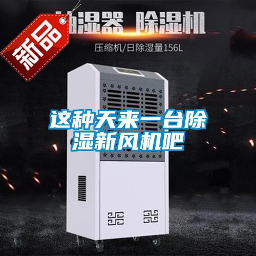 這種天來(lái)一臺除濕新風(fēng)機吧