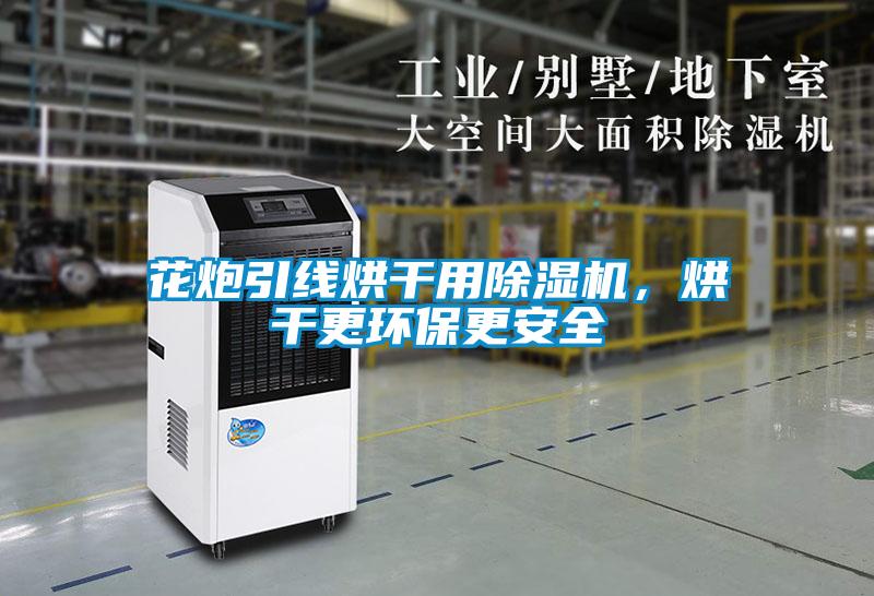 花炮引線(xiàn)烘干用除濕機，烘干更環(huán)保更安全
