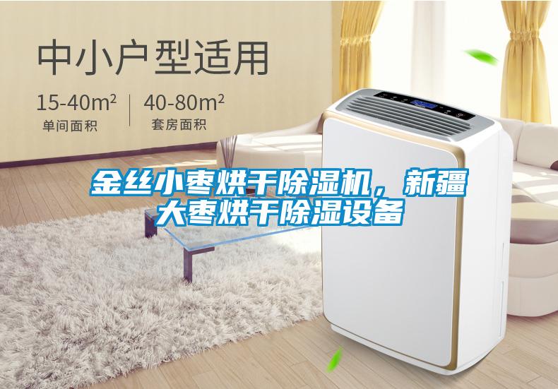 金絲小棗烘干除濕機，新疆大棗烘干除濕設備