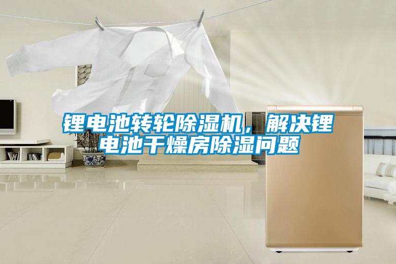 鋰電池轉輪除濕機，解決鋰電池干燥房除濕問(wèn)題