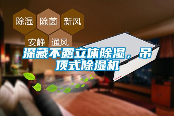深藏不露立體除濕，吊頂式除濕機