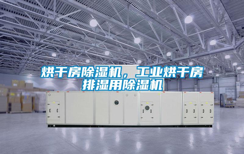 烘干房除濕機，工業(yè)烘干房排濕用除濕機