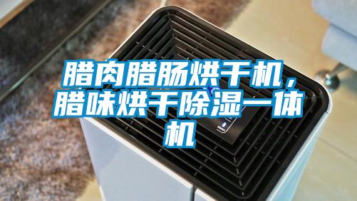 臘肉臘腸烘干機，臘味烘干除濕一體機
