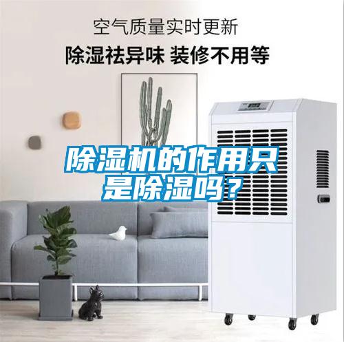 除濕機的作用只是除濕嗎？