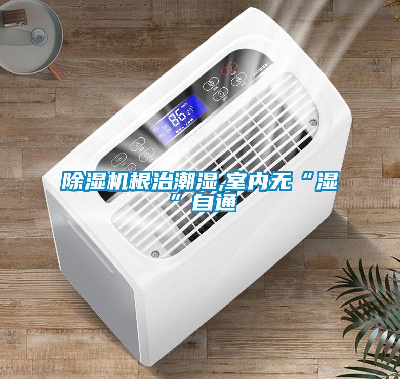 除濕機根治潮濕,室內無(wú)“濕”自通