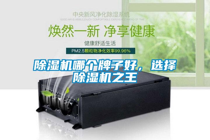 除濕機哪個(gè)牌子好，選擇除濕機之王
