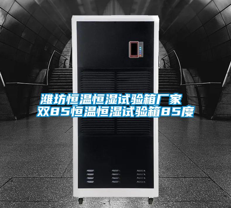 濰坊恒溫恒濕試驗箱廠(chǎng)家 雙85恒溫恒濕試驗箱85度