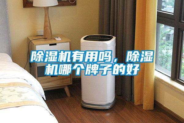 除濕機有用嗎，除濕機哪個(gè)牌子的好