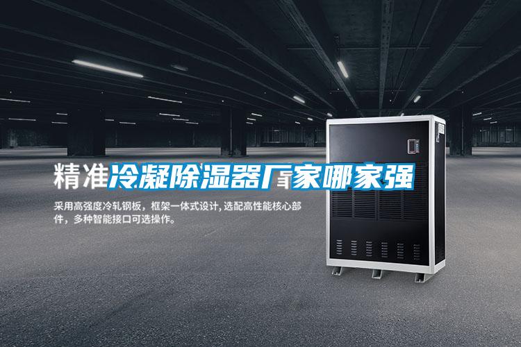 冷凝除濕器廠(chǎng)家哪家強