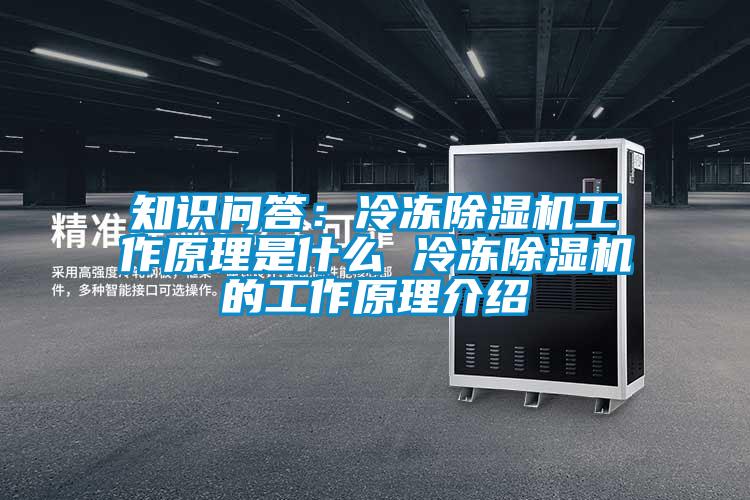 知識問(wèn)答：冷凍除濕機工作原理是什么 冷凍除濕機的工作原理介紹