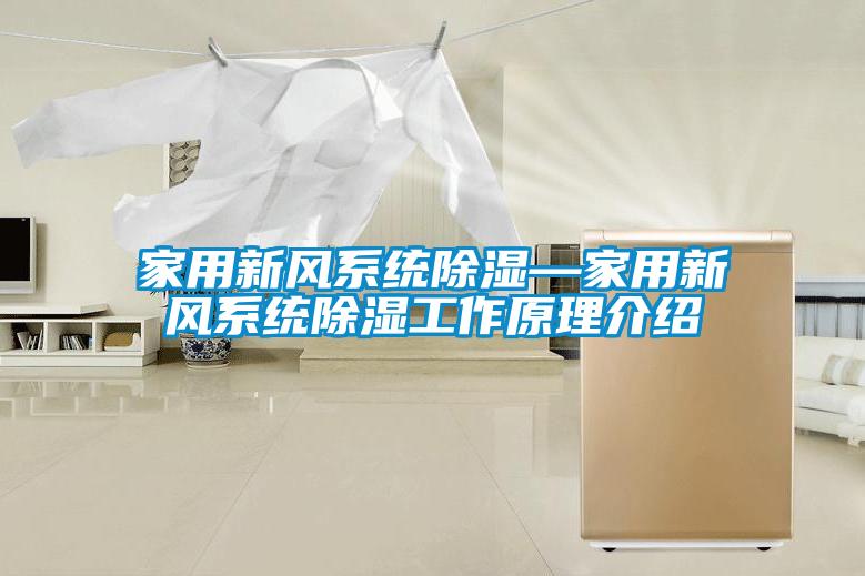 家用新風(fēng)系統除濕—家用新風(fēng)系統除濕工作原理介紹