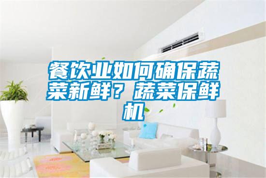 餐飲業(yè)如何確保蔬菜新鮮？蔬菜保鮮機